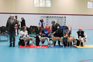 20251025_Vilsta_10_BIS_Avel 20251025_Vilsta_10_BIS_Avel