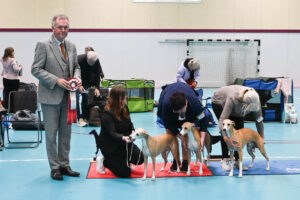 20251025_Vilsta_12_BIS_Generation 20251025_Vilsta_12_BIS_Generation