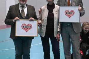 20251025_Vilsta_14_Domare 20251025_Vilsta_14_Domare