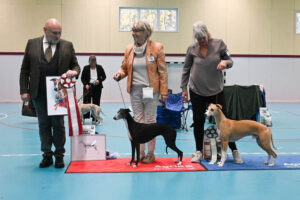 20251025_Vilsta_1_BIS-BIM 20251025_Vilsta_1_BIS-BIM