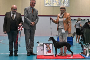 20251025_Vilsta_2_BIS 20251025_Vilsta_2_BIS