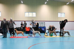 20251025_Vilsta_3_BH1-4 20251025_Vilsta_3_BH1-4