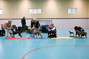 20251025_Vilsta_4_BT1-4 20251025_Vilsta_4_BT1-4