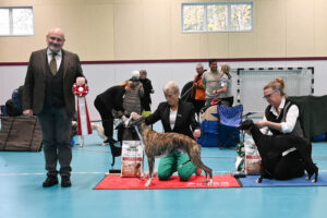 20251025_Vilsta_7_BIS-BIM_Junior 20251025_Vilsta_7_BIS-BIM_Junior