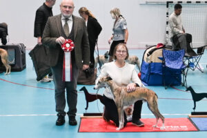 20251025_Vilsta_8_BIS_Bruks 20251025_Vilsta_8_BIS_Bruks