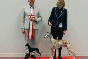 20260328_Vilsta_01_BIS