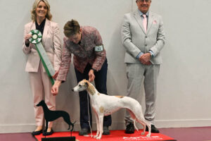 20260328_Vilsta_02_BIM