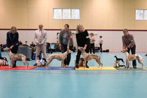 20260328_Vilsta_03_BH1-4