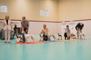 20260328_Vilsta_04_BT1-4