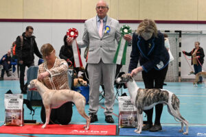 20260328_Vilsta_07_BIS-BIM_Junior