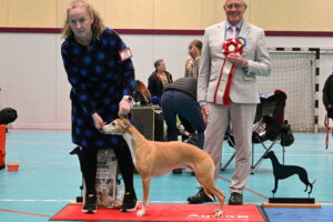 20260328_Vilsta_09_BIS_Bruks