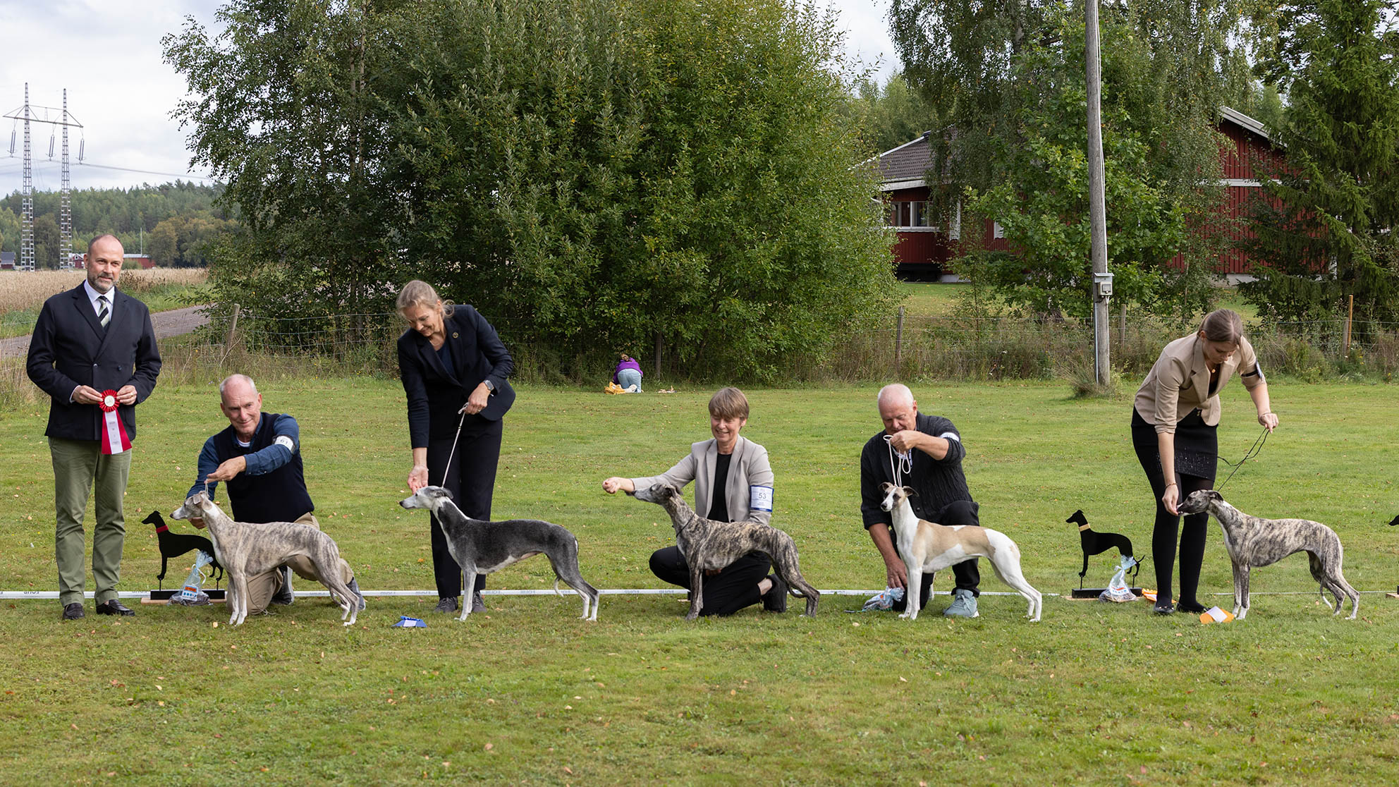 bästa_tik- bästa_tik-